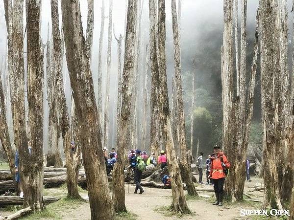 IMG_1233_副本.jpg IMG_1233_副本.jpg