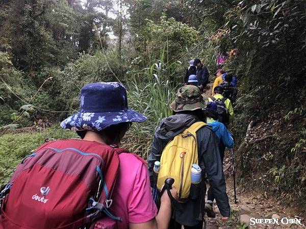 IMG_1218.jpg IMG_1218.jpg