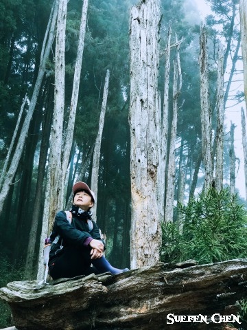 IMG_1232_副本.jpg IMG_1232_副本.jpg