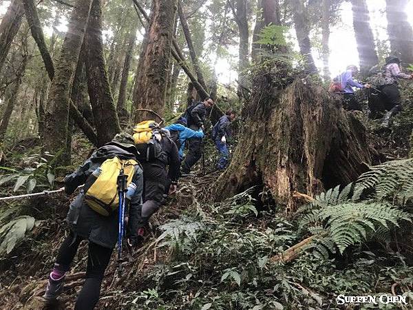 IMG_1239.jpg IMG_1239.jpg