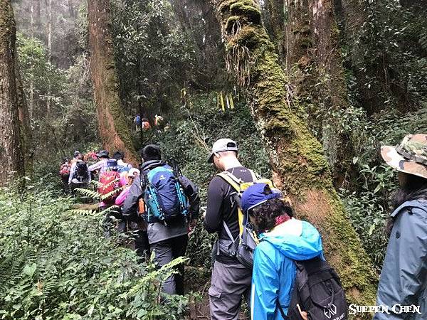 IMG_1238.jpg IMG_1238.jpg