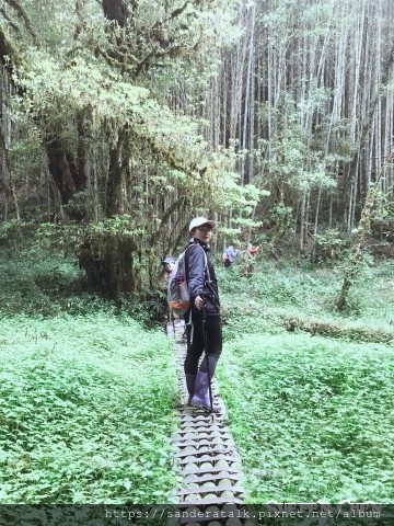 IMG_1274_副本.jpg IMG_1274_副本.jpg