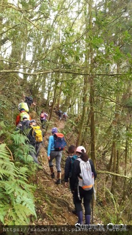 IMG_1297.jpg IMG_1297.jpg