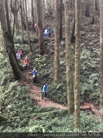 IMG_1287.jpg IMG_1287.jpg