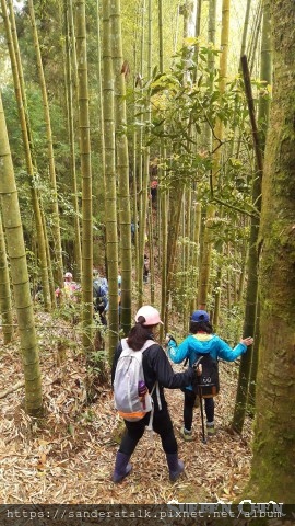 IMG_1300.jpg IMG_1300.jpg