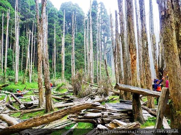 IMG_1311_副本.jpg IMG_1311_副本.jpg