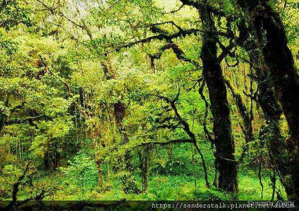 IMG_1319_副本.jpg IMG_1319_副本.jpg