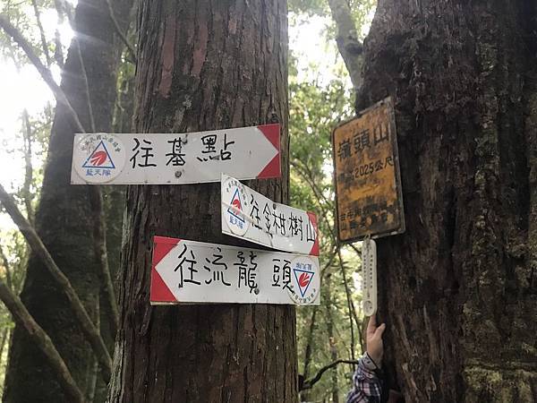 IMG_1286.JPEG IMG_1286.JPEG