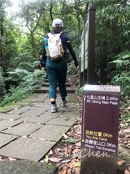 IMG_2733.jpg IMG_2733.jpg