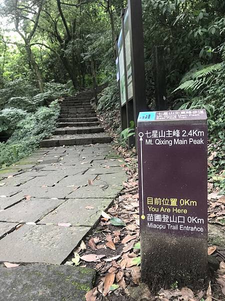 IMG_2664.JPG IMG_2664.JPG