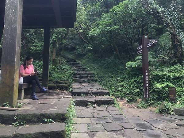 IMG_2678.JPG IMG_2678.JPG