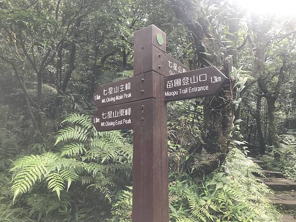 IMG_2679.JPG IMG_2679.JPG