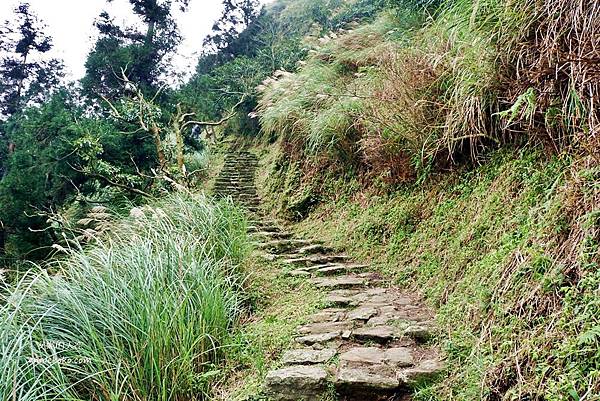 夢幻湖步道.jpg 夢幻湖步道.jpg