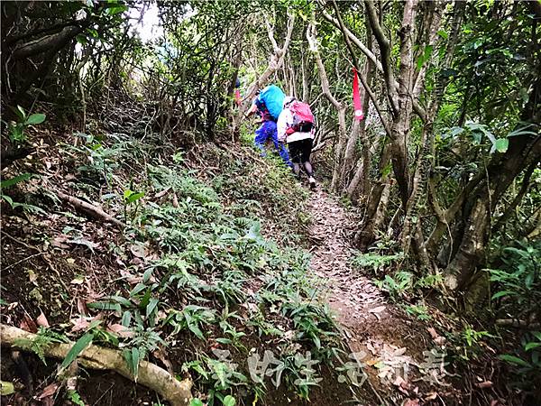 IMG_0471.jpg IMG_0471.jpg