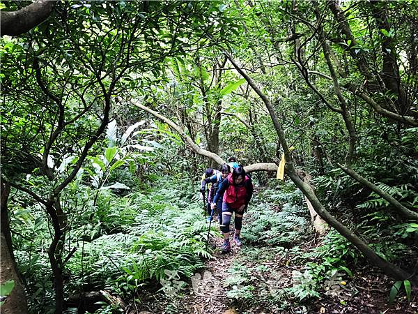 IMG_0509.jpg IMG_0509.jpg