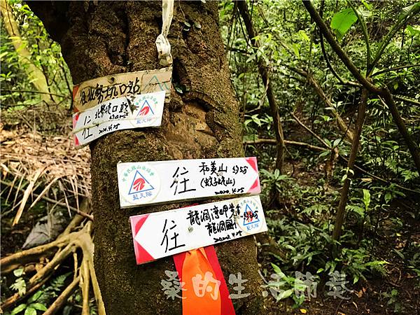 IMG_0508.jpg IMG_0508.jpg