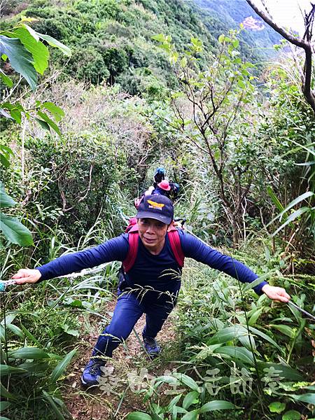 IMG_0501.jpg IMG_0501.jpg