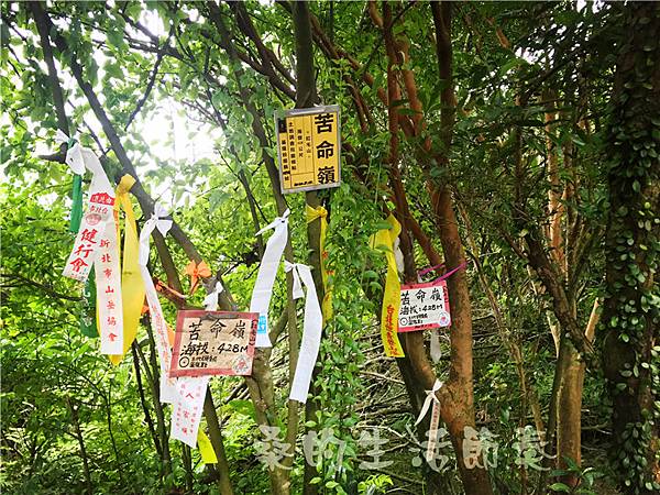 IMG_0552.jpg IMG_0552.jpg