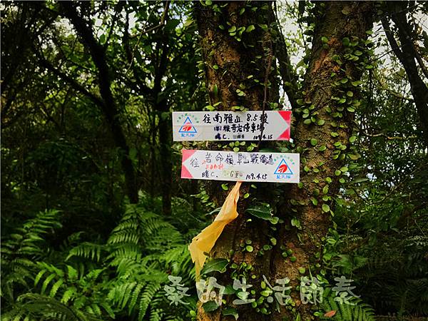 IMG_0543.jpg IMG_0543.jpg