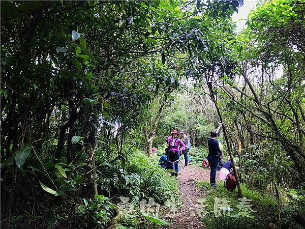 IMG_0547.jpg IMG_0547.jpg