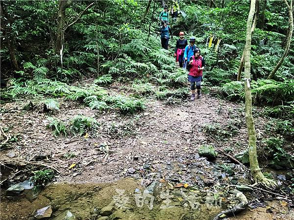 IMG_0534.jpg IMG_0534.jpg