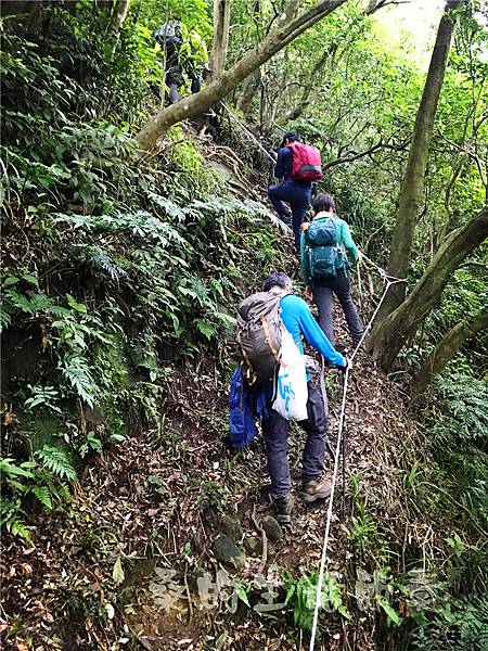 IMG_0582.jpg IMG_0582.jpg