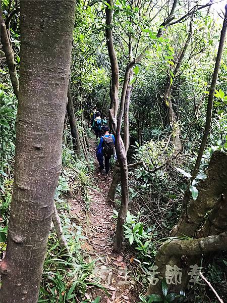 IMG_0578.jpg IMG_0578.jpg