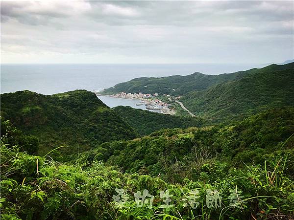 IMG_0601.jpg IMG_0601.jpg