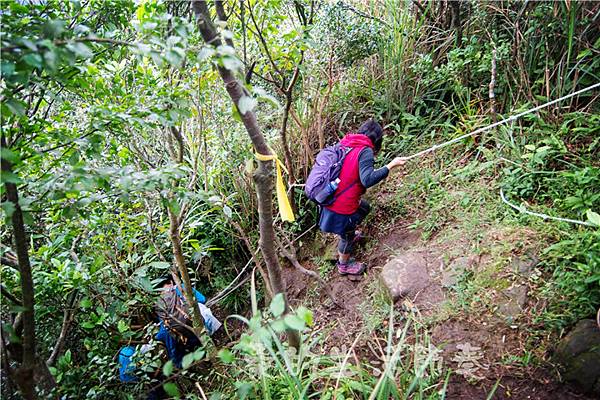 IMG_0619.jpg IMG_0619.jpg