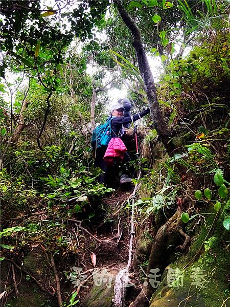 IMG_0639.jpg IMG_0639.jpg