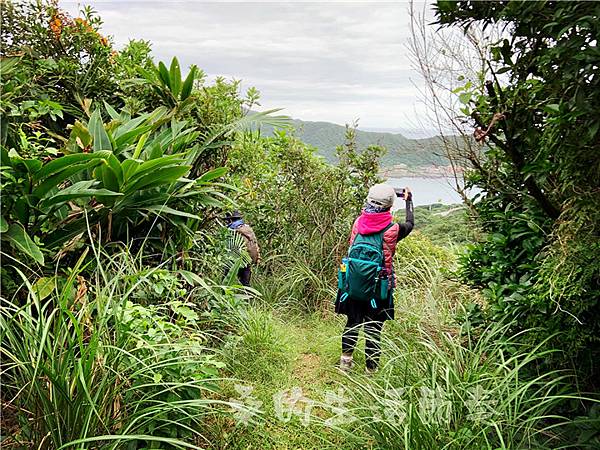 IMG_0631.jpg IMG_0631.jpg