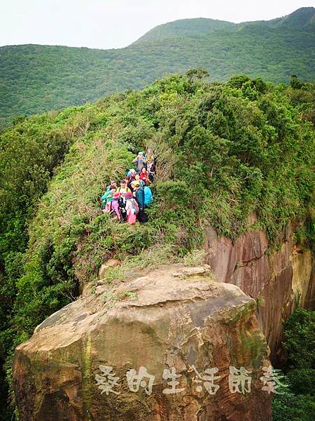 IMG_0648.jpg IMG_0648.jpg