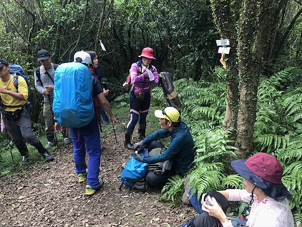 IMG_0544.JPEG IMG_0544.JPEG