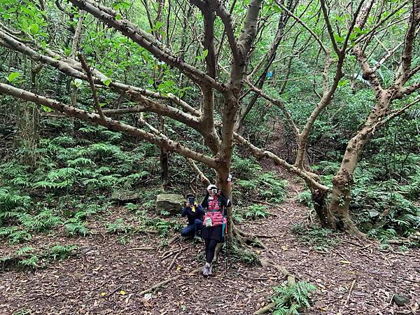 IMG_0635.JPG IMG_0635.JPG