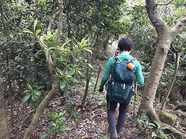 IMG_0608.JPEG IMG_0608.JPEG