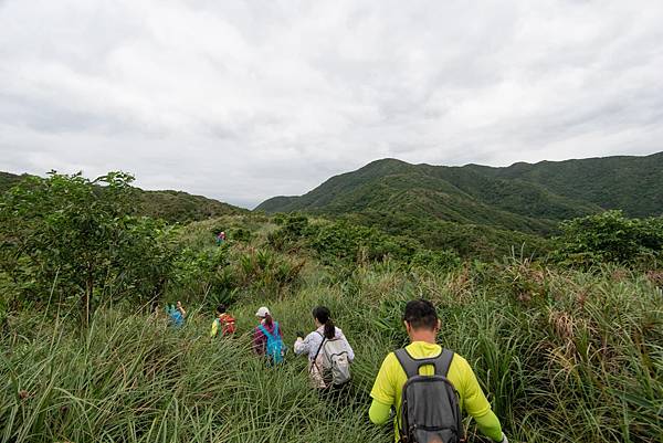 IMG_0612.JPG IMG_0612.JPG