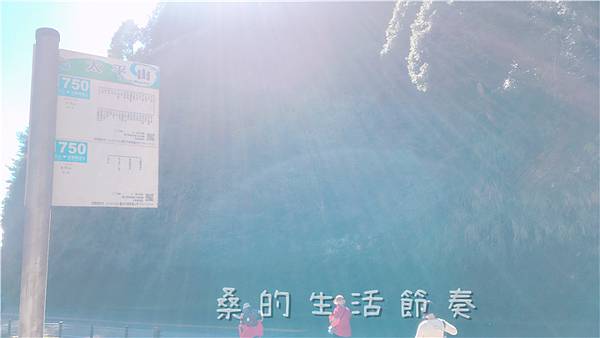 IMG_1173.jpg IMG_1173.jpg