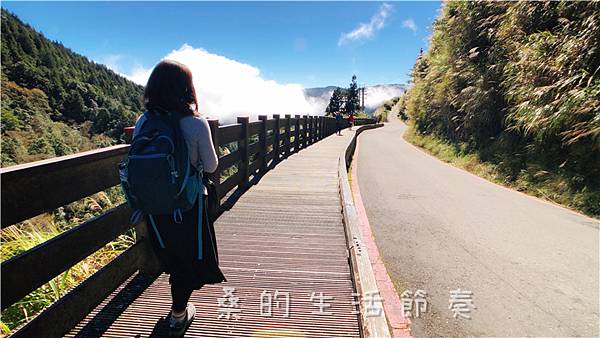 IMG_6524.jpg IMG_6524.jpg