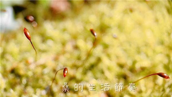 IMG_6561.jpg IMG_6561.jpg