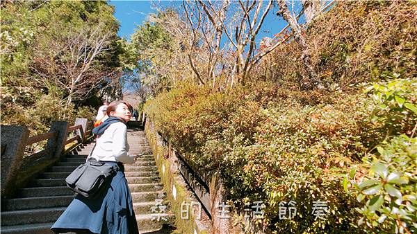 IMG_6544.jpg IMG_6544.jpg