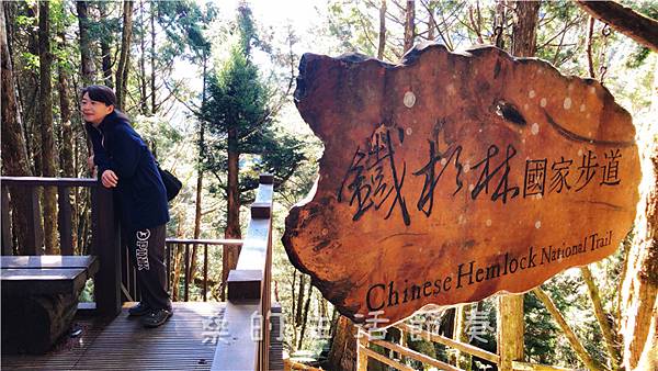 IMG_6904-1.jpg IMG_6904-1.jpg