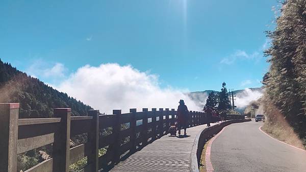 IMG_1176.JPG IMG_1176.JPG