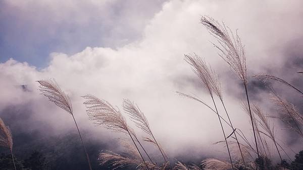 IMG_1220.JPEG IMG_1220.JPEG