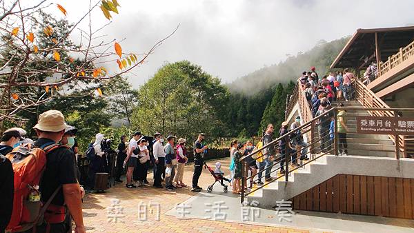 IMG_6588.jpg IMG_6588.jpg