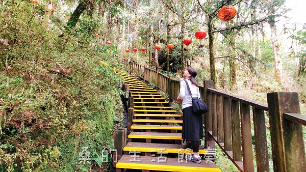 IMG_6645.jpg IMG_6645.jpg