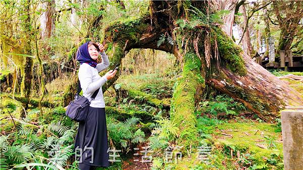 IMG_6700.jpg IMG_6700.jpg