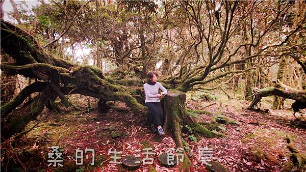 IMG_6705.jpg IMG_6705.jpg