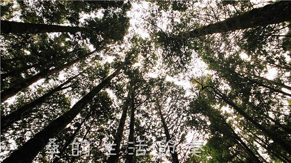 IMG_6733.jpg IMG_6733.jpg