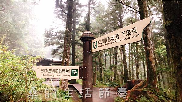 IMG_6734.jpg IMG_6734.jpg