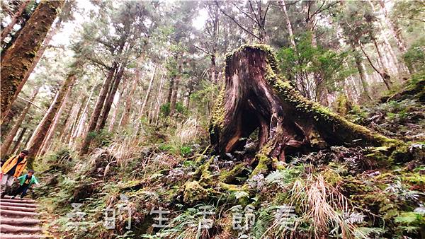 IMG_6743.jpg IMG_6743.jpg